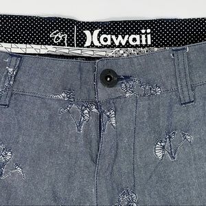 Sig Zane x Hurley shorts size 36